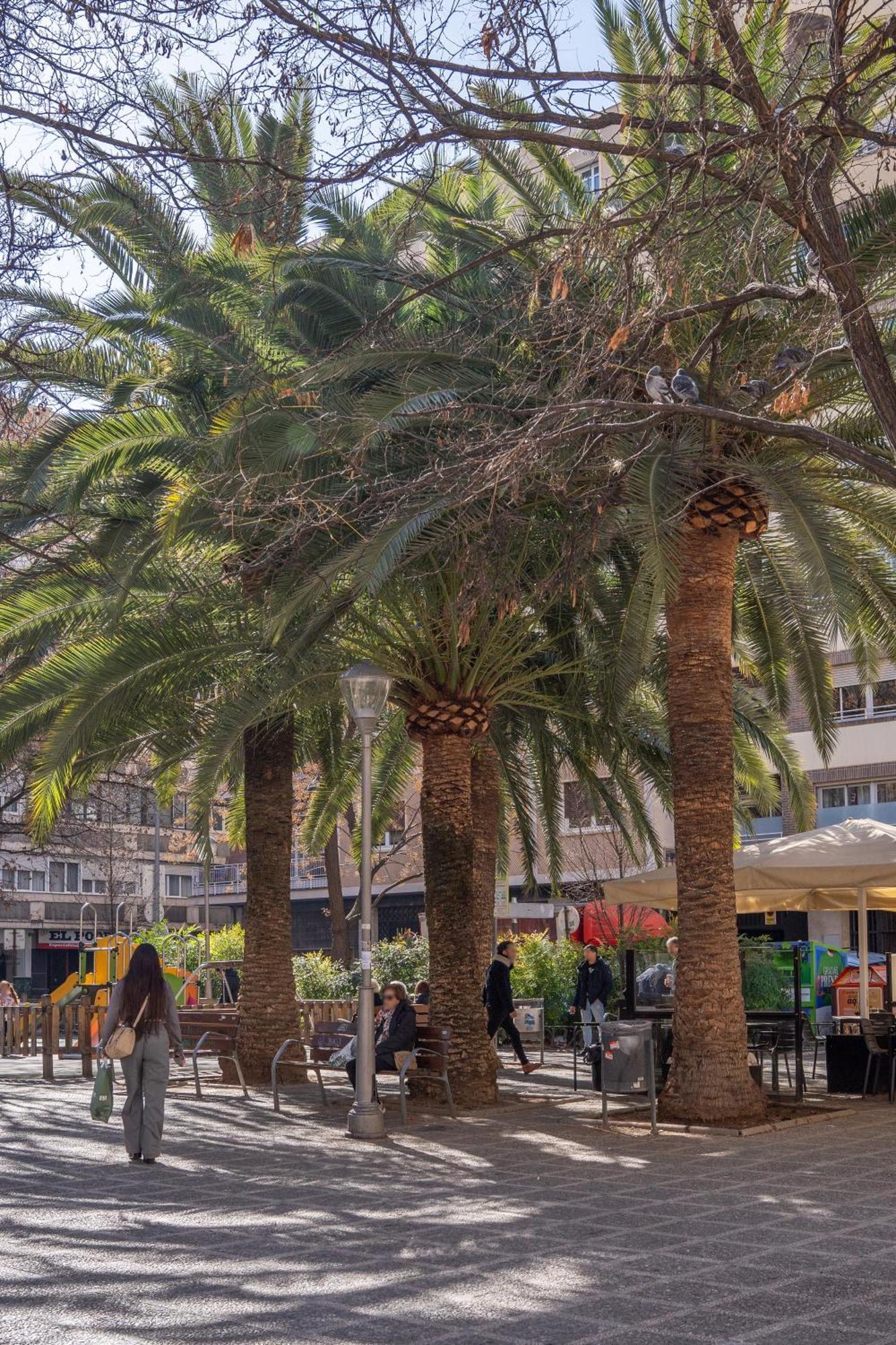 La Plaza, En El Centro Facil Acceso Y Parking Cercano Granada Kültér fotó